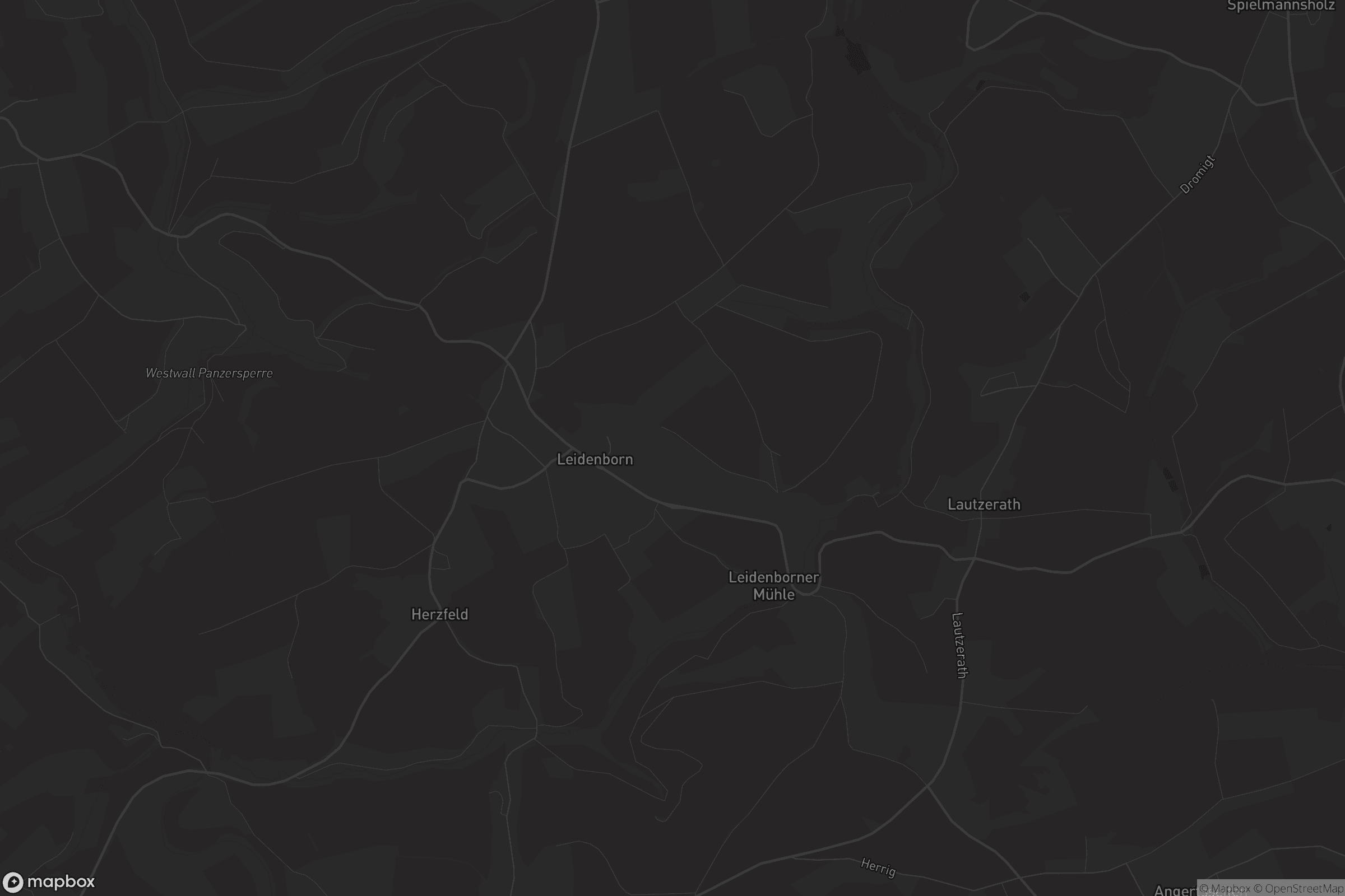 Karte von Leidenborn