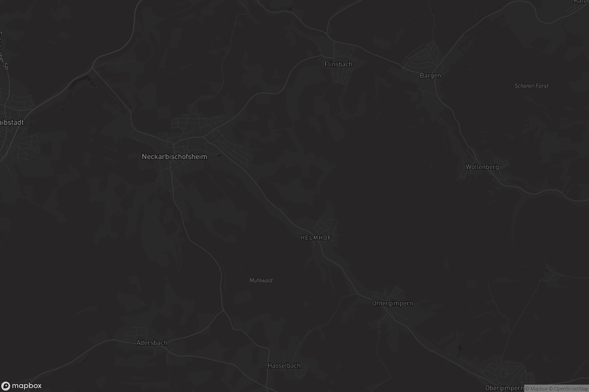 Karte von Neckarbischofsheim