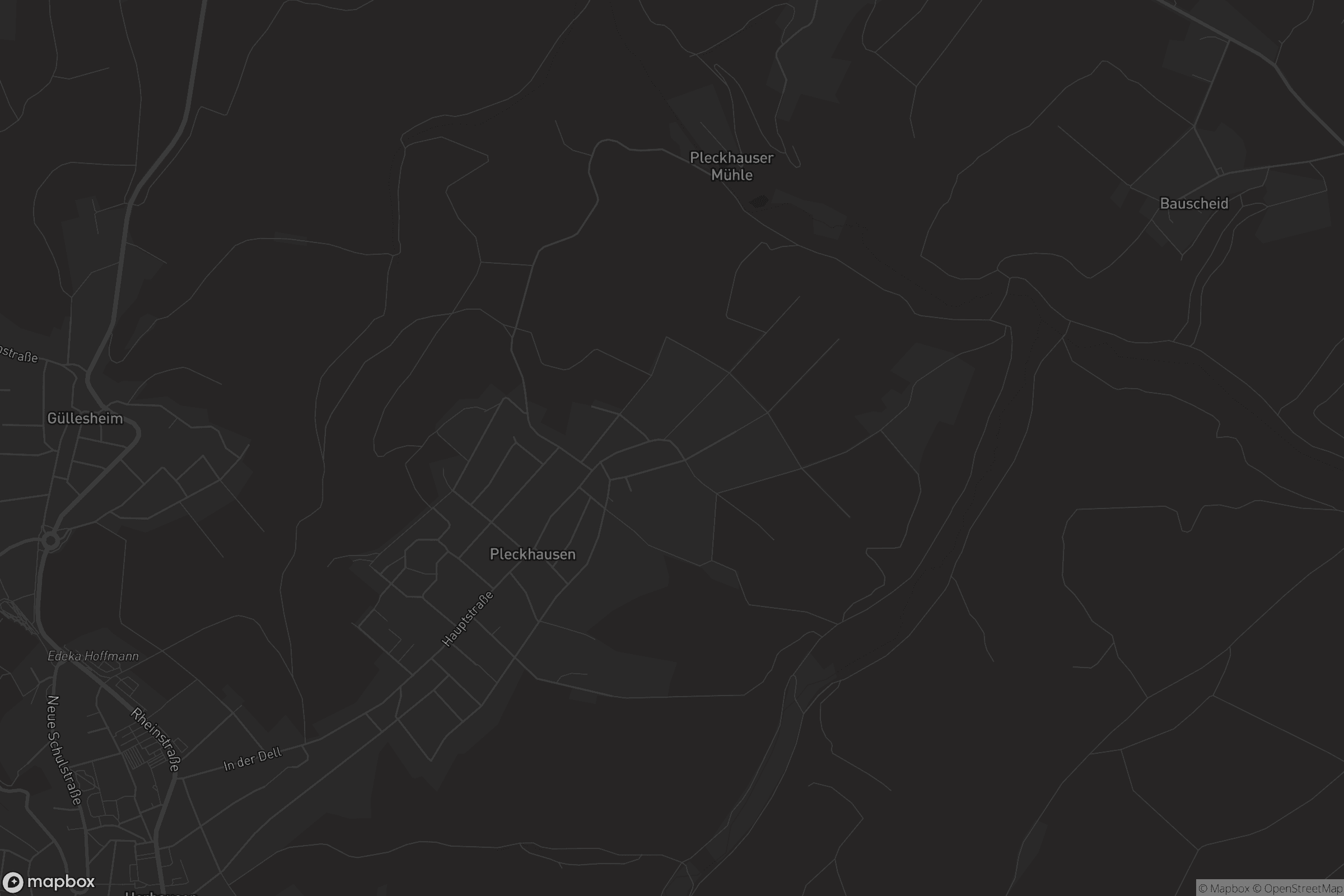 Karte von Pleckhausen